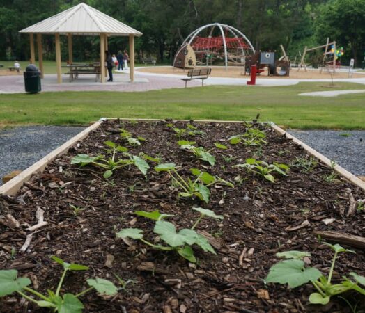 garden in park